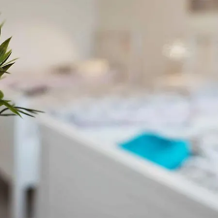 Apartment And Work
